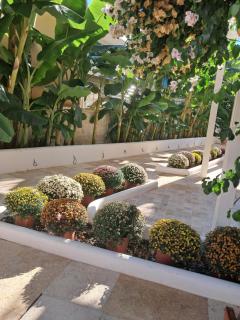 Villa Chrisanthi - 4