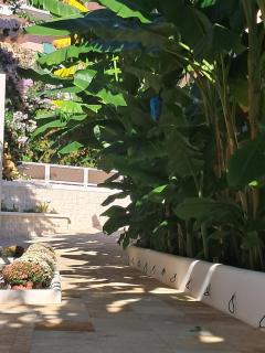 Villa Chrisanthi - 7