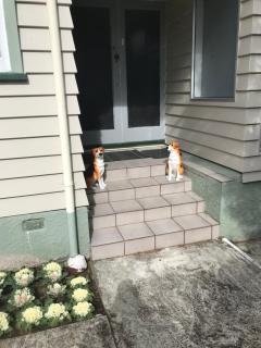 Garden home - 9