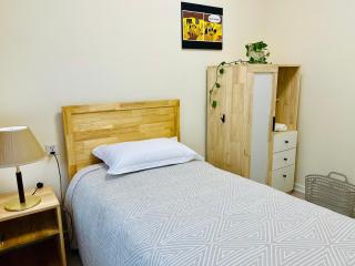 Spacious and Cozy 3BR Apartment, UB Downtown - 4