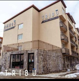 Tribu apart Hotel bakuriani - 0