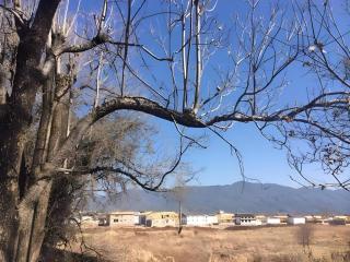 Lijiang Peach Hostel - 3