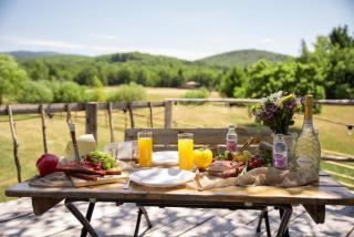 Holiday Nature House - 4