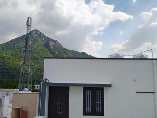 Paddy's Home - GF2 - 5