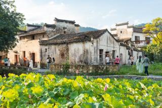 Floral Hotel Xidi Jiuheboshe B&B - Huangshan - 0