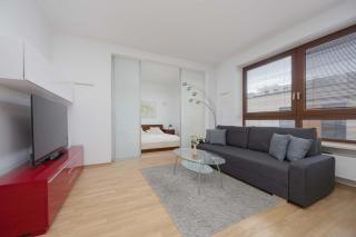 Spacious and Bright Apartment with Parking in the City Center by Noclegi Renters - 3
