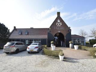 Studio Hazenborgh in Callantsoog near the sea - 9
