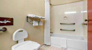 Econo Lodge Inn & Suites Forest - 9