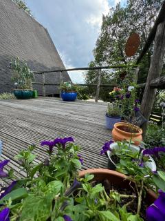BERG WELT im Erzgebirge - 1