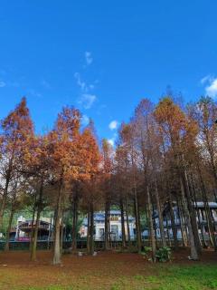 寵物友善 漫步森活 九樺落羽松民宿 - 4