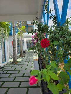 NAVY Hotel Garden - 1