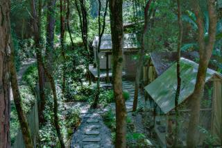 景德镇树园心舍民宿JDZ Forest Haven B&B - 9