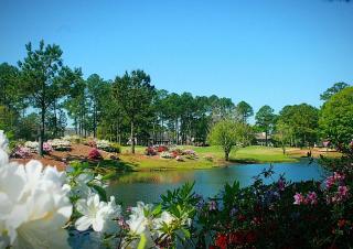 Golf Course View Condo 3005M with Pool - 8