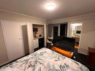 Studio is 2nd door past carport - 3