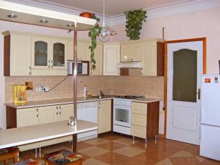 Apartment Elisabeta 01 by Interhome - Balatonőszöd - 8