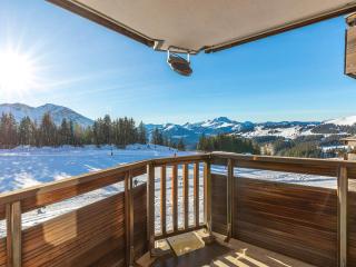 Appartement cosy pour 6 près de l'ESF et du parking - FR-1-314-254 - 1