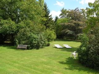 Chambre Jasmin avec piscine et parking au cœur des Châteaux de la Loire - FR-1-590-465 - 5