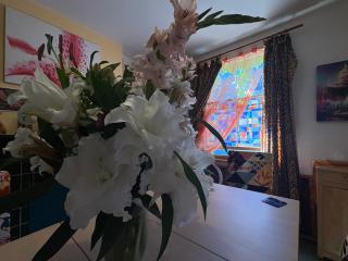 Homestay in The Heart Of Avalon - 7