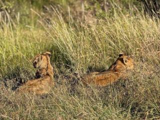 Nanja Mara Lodge - 8
