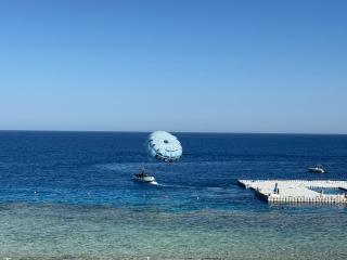 Domina Coral Bay - 6