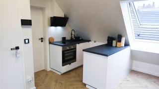 ALFA Stuttgart Studio-Apartment 2 Betten Küche Bad l SmartTV WIFI l Porsche & Bosch l 2 Beds Kitchen Bath BS21A11 - 8