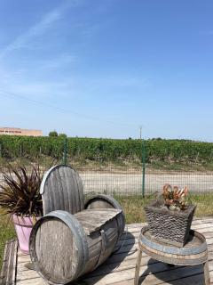 Maison au coeur du vignoble - 1