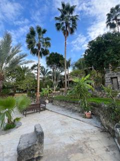 Sossita Guesthouse & Boutique Resort - 2