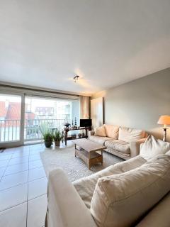 2025-002 - Zeerobben - Knokke Dreams - 0