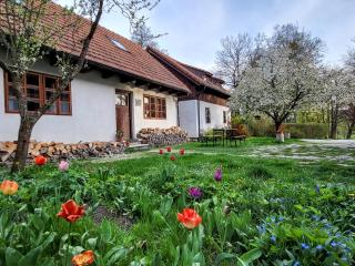 Apartmány Červený Dvůr - 8