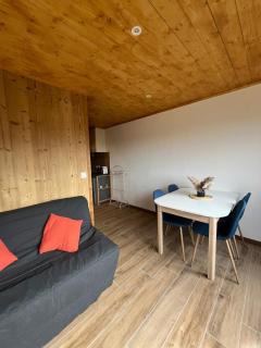 Appartement centre des Carroz - 3