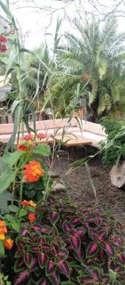 the rustic ecoscape - 1