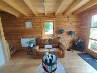 Au chant des oiseaux - rouge gorge - 2