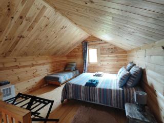 Au chant des oiseaux - rouge gorge - 6