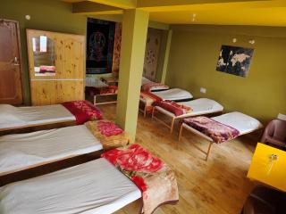 Airship Manali - A Mountain View Hotel - 9