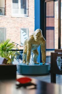 The Social Hub Groningen - 9