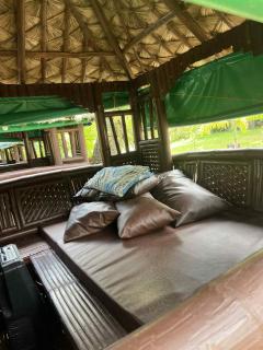 Eljoy's Forest Resort - 4