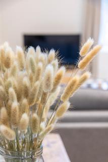 Nice, center, kingsize bed - 7