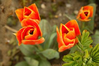 Pension Herkules - 7