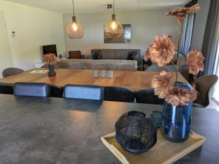 Moderne luxe vakantiewoning met sauna en kookeiland - 3