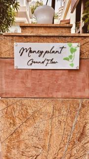 Money plant - 2bhk in Saheed Nagar- city center - 8