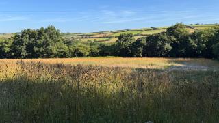 The Tall Barn - 3