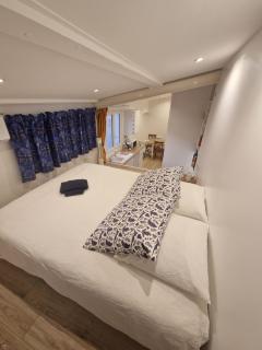 Massilia Shelter - 0