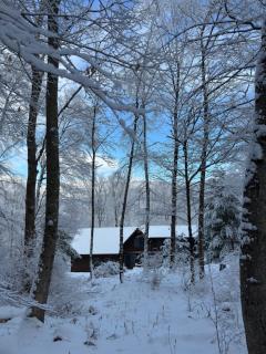 Perfect Vermont Battenkill Log Cabin - 8