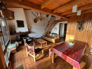 Large sunny duplex, forest, fireplace, skiing - 0