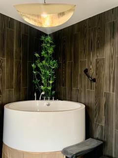 L Emeraude des marais loveroom Bourges - 2