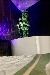 L Emeraude des marais loveroom Bourges - 3