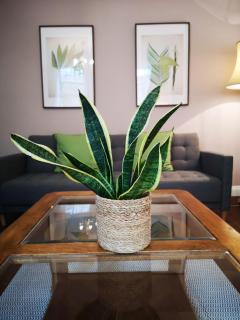Lovely Garden Flat in Central Bath with Private Parking - 4