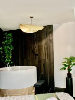 L Emeraude des marais loveroom Bourges - 4