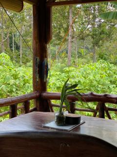 SumatraOrangutanDiscoveryVilla - 6