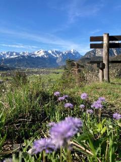 Holz-Chalet Panorama in Farchant Zugspitzland - 6